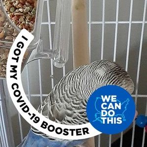 Meet your Posher, Victor